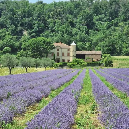 Domaine Des Balmes Роман-сюр-Изер