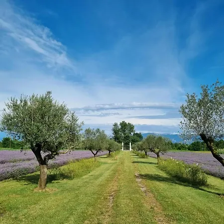 Villa Domaine Des Balmes